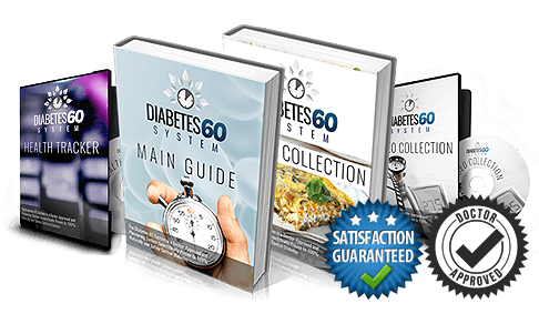 Diabetes 60 System Guide